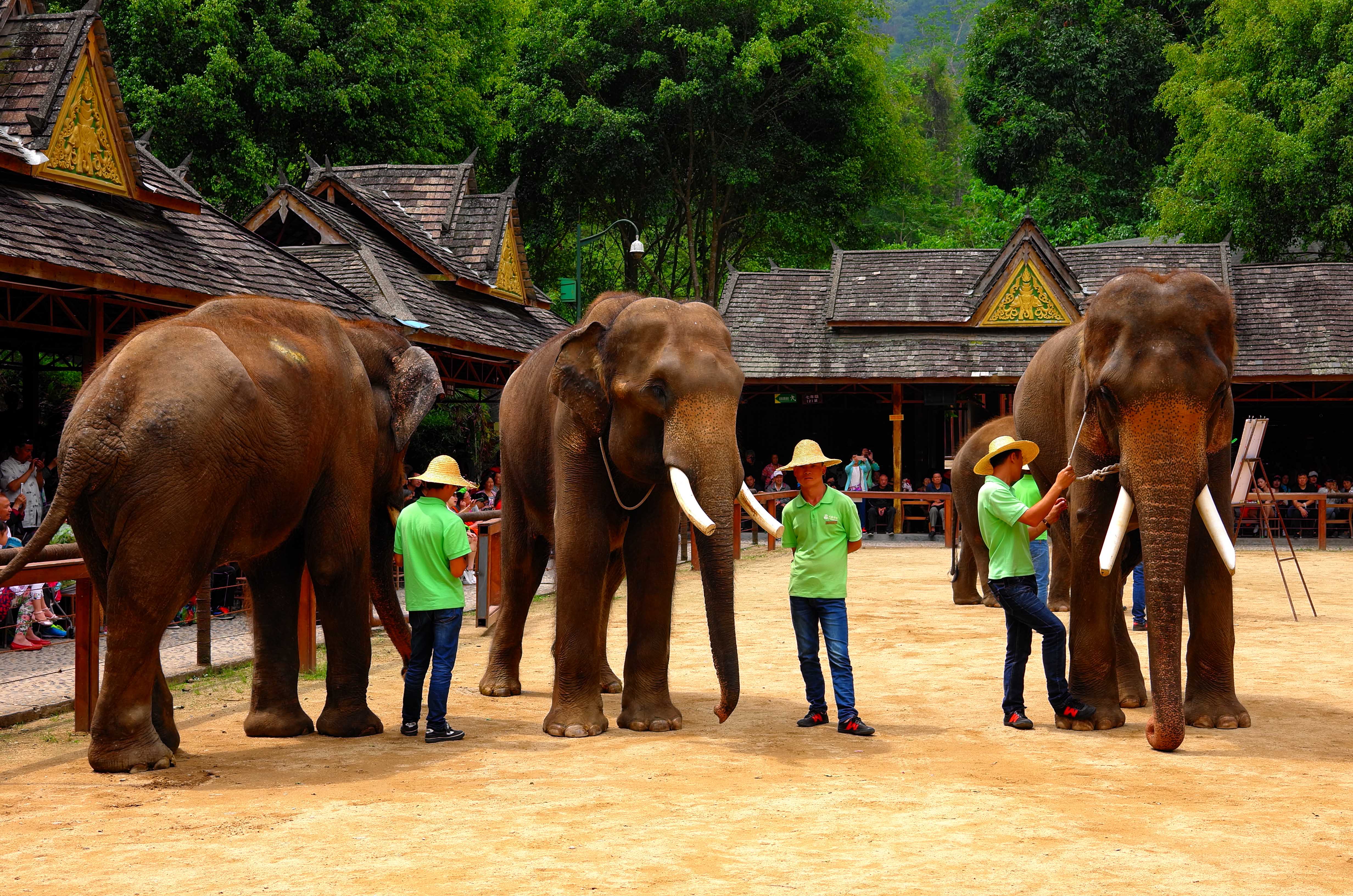 耗时2个月，花费17000，一个强迫症患者的疯滇行（二）