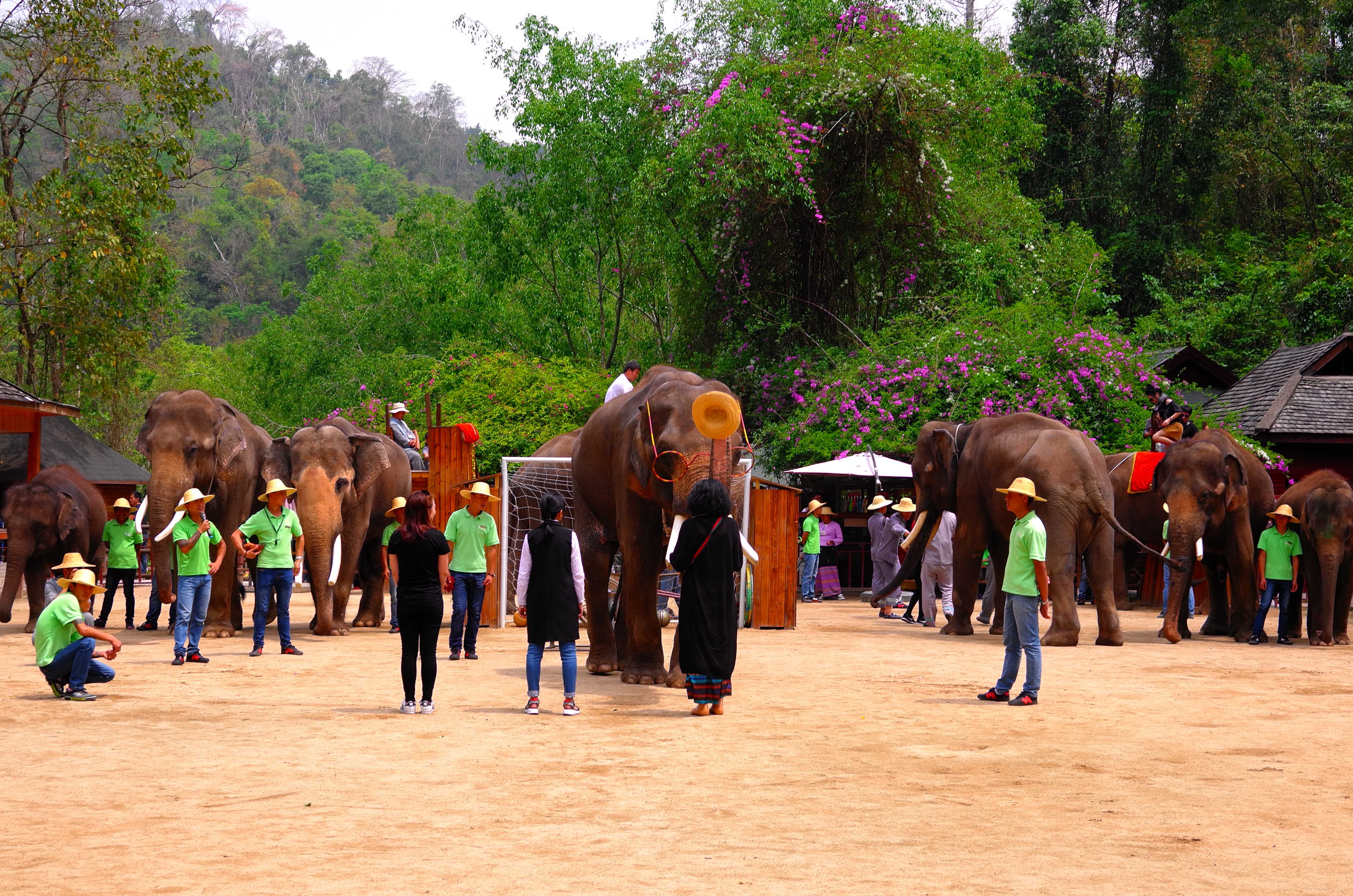 耗时2个月，花费17000，一个强迫症患者的疯滇行（二）