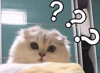 游戏史上最强的boss无解大魔王,史上最弱魔王