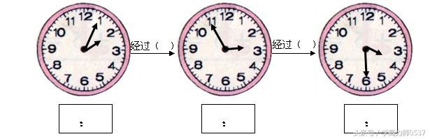 北师大版小学二年级数学下册期末试卷最后冲刺精准复习
