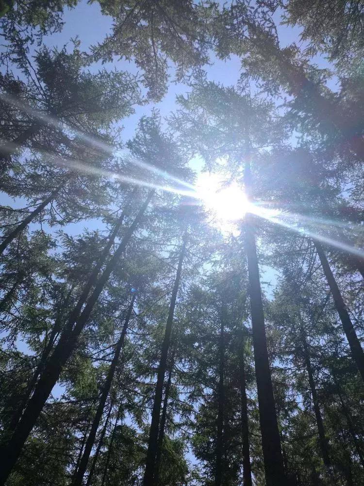 醉美临汾城,临汾最值得一看的地方