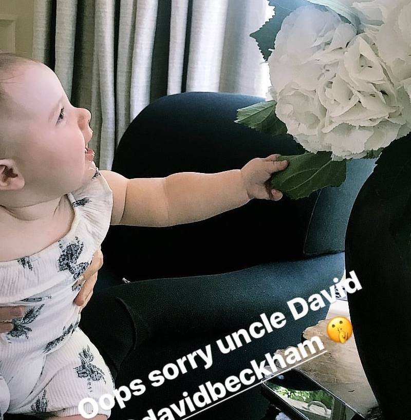 小贝乖巧可爱,小贝爱女小七最新萌照