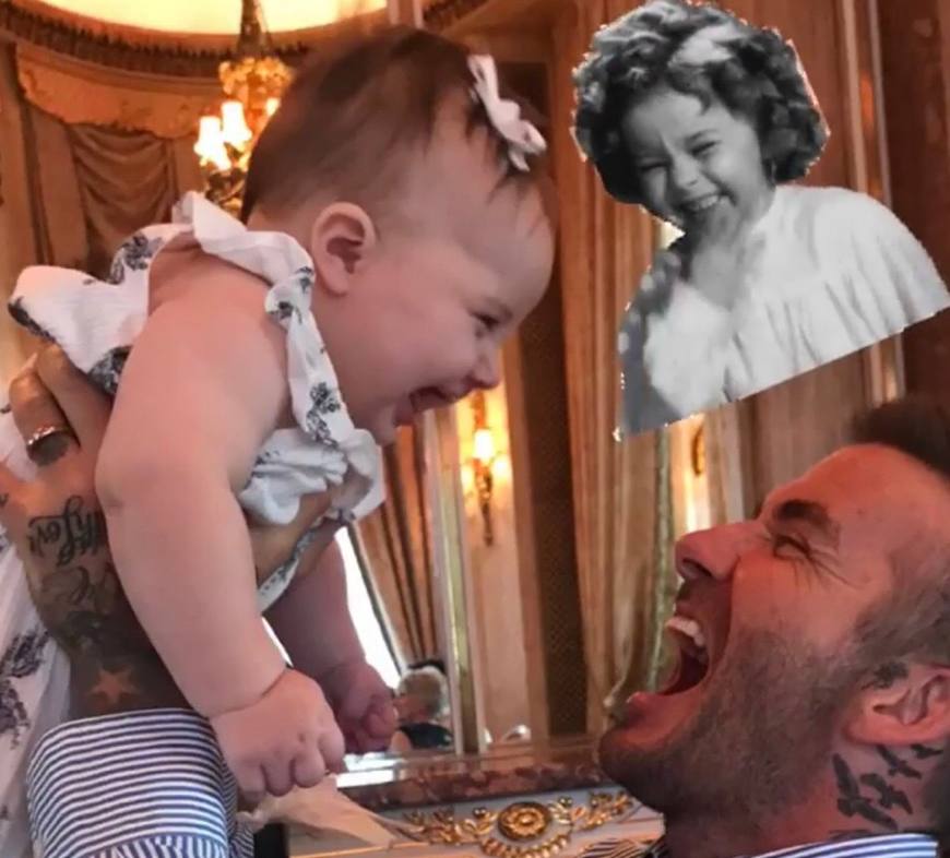 小贝乖巧可爱,小贝爱女小七最新萌照