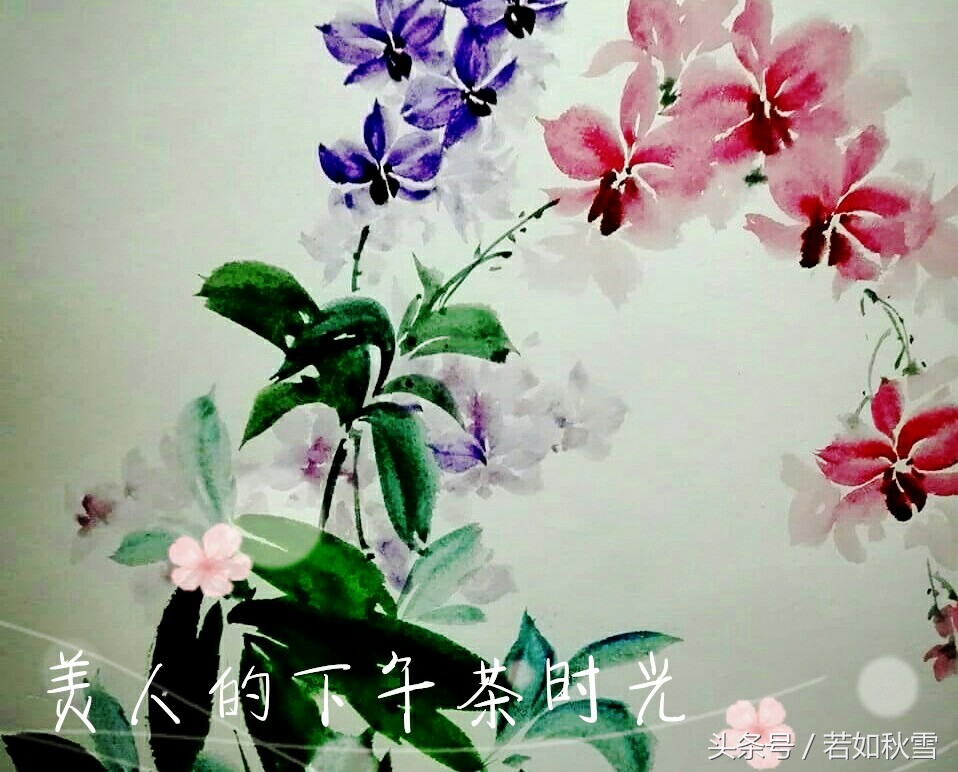 三毛梦里花落知多少小说,三毛梦里花落知多少朗诵