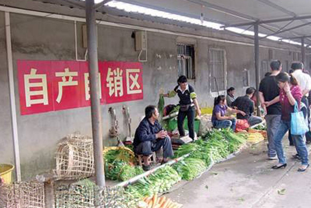 农民卖菜一年挣多少钱,农村集市卖菜一天能挣多少