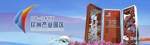钦州中马产业园大项目最新的新闻,2021年钦州中马产业园区
