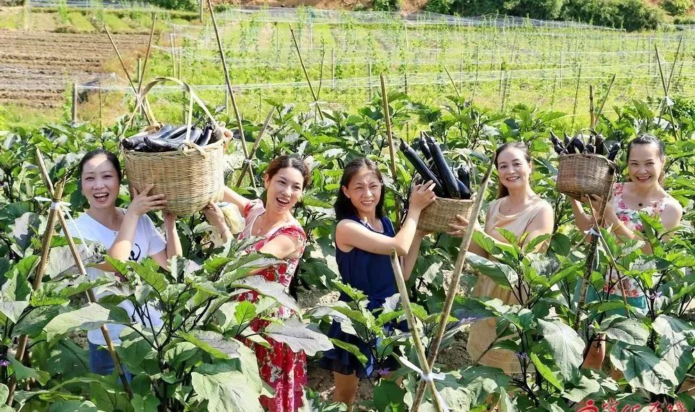 碧海蓝天长岛之旅,七一献礼欢迎大家来做客