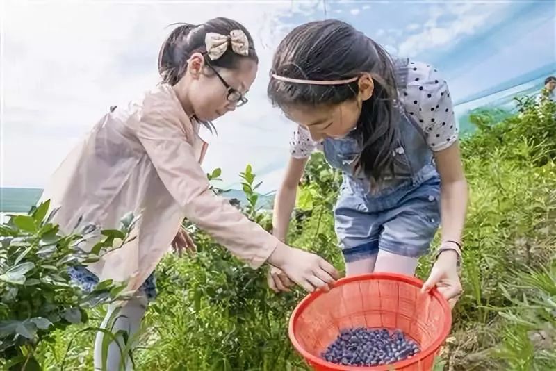 碧海蓝天长岛之旅,七一献礼欢迎大家来做客