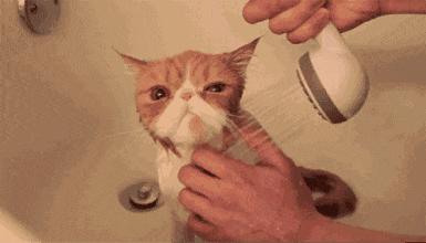 资生堂的隔离好用吗,资生堂隔离真的好用吗