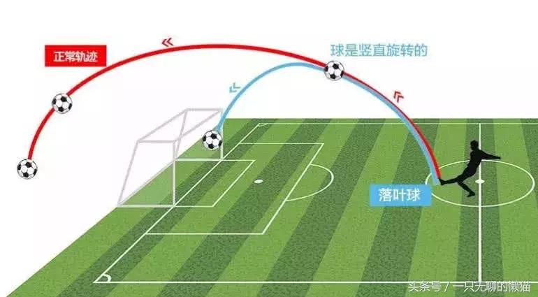 怎样踢c罗的暴力电梯球,c罗一场比赛两电梯球