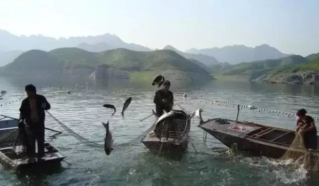 周末旅游不必去远方,人间仙境桂林旅游