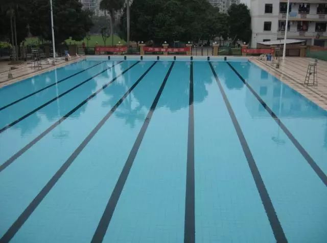 广西高校运动场哪家好,广西区高校排球赛