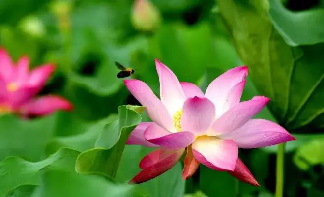 古训：做“大人”，存“小心”