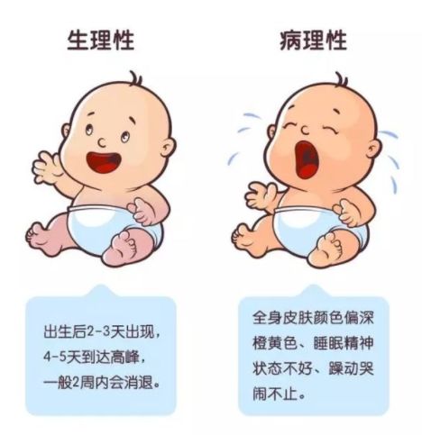 母婴店店员介绍奶粉视频,母婴店营业员介绍产品视频