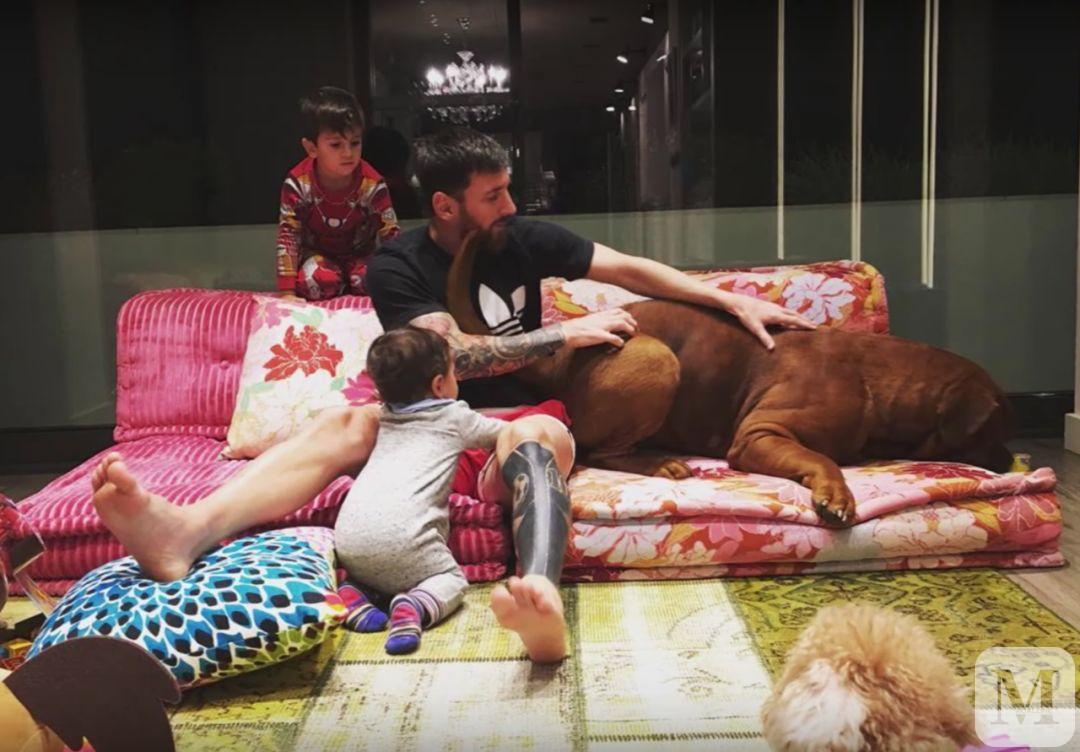 梅西豪宅c罗豪宅,梅西和c罗的别墅叫什么