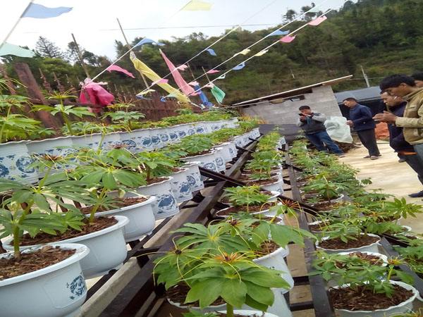 现代农业园特点优势,现代农业的发展现状及前景