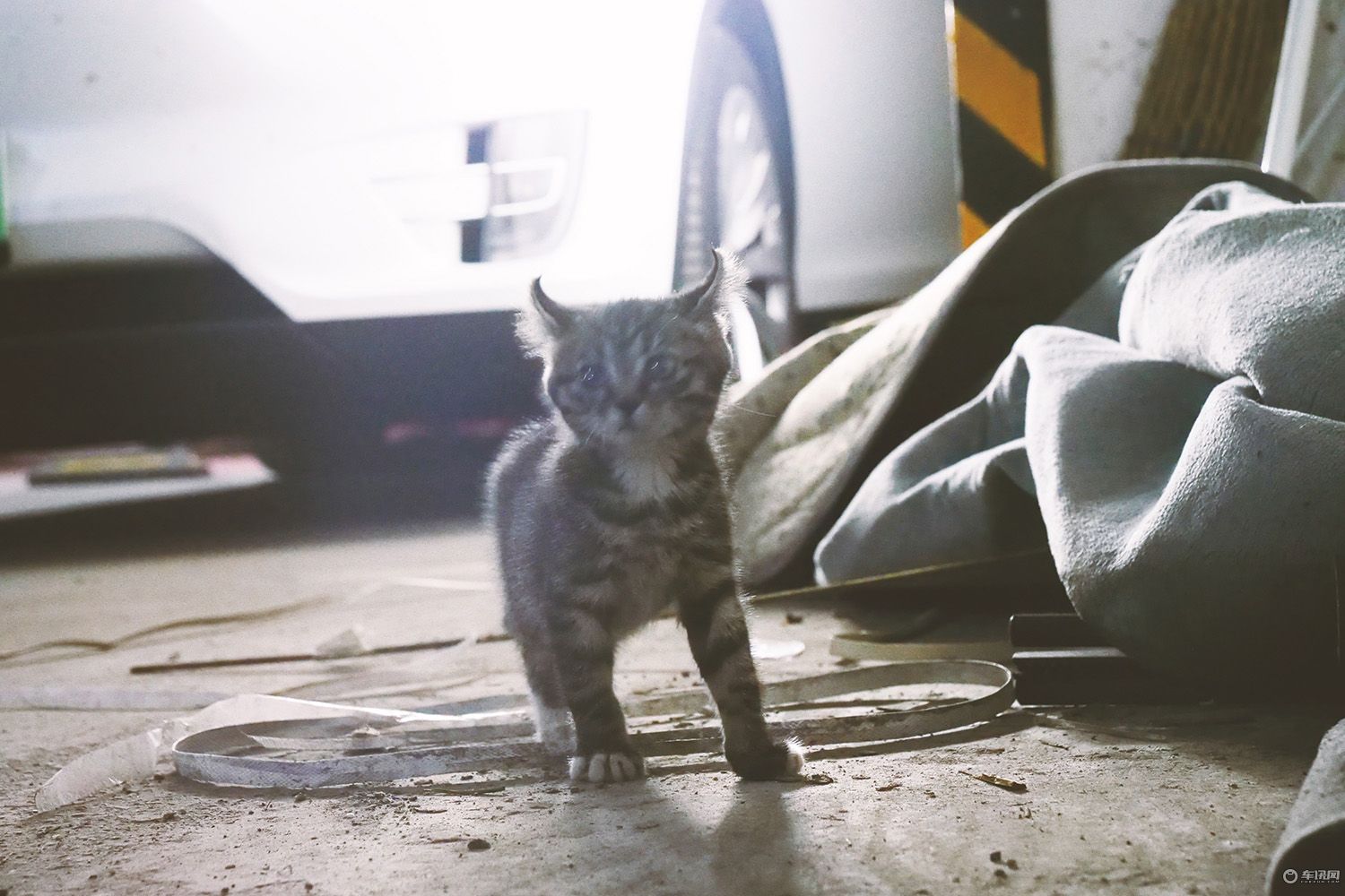 特斯拉modelx旅行,特斯拉modelx100d能跑多少公里