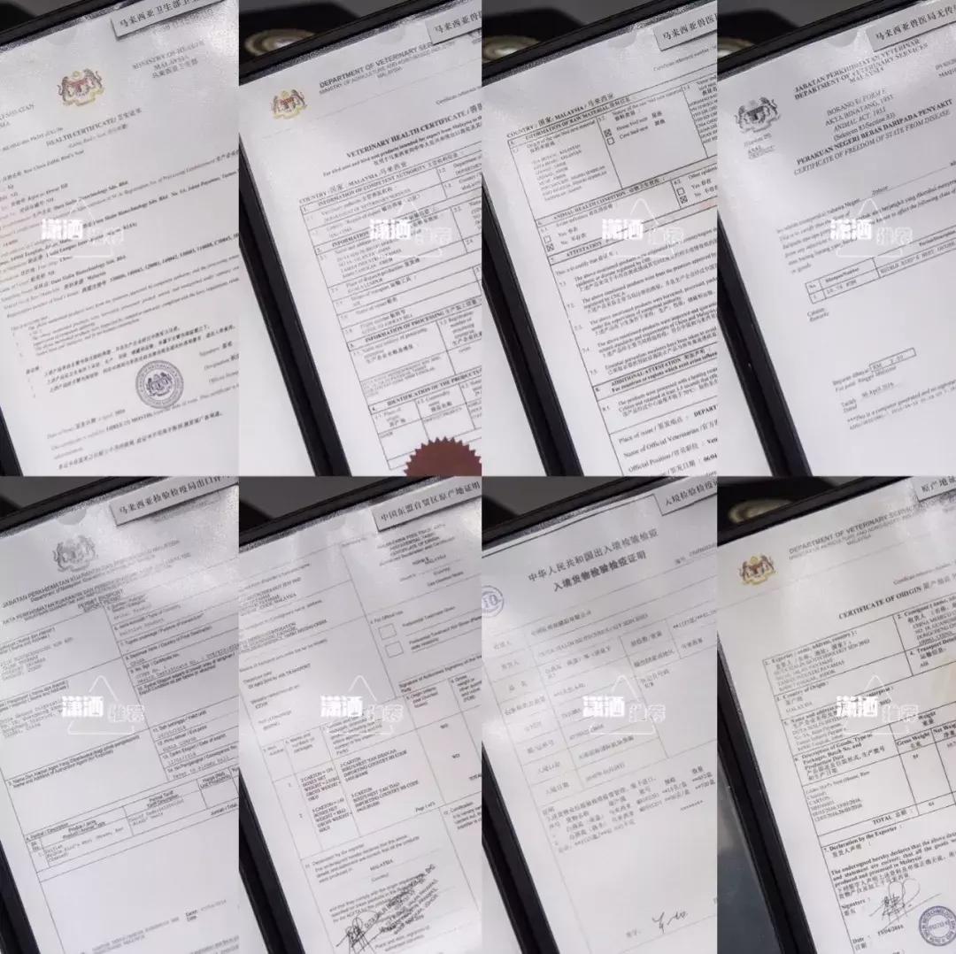 顶级金丝燕的燕窝,天然的官燕燕窝一般在哪里买