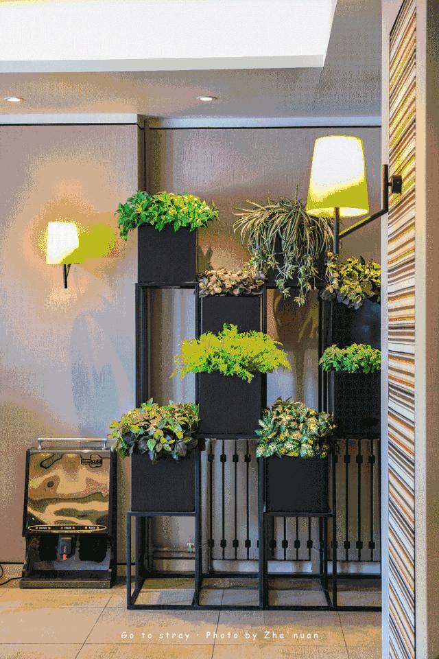 2022青岛五四广场灯光秀,青岛五四广场灯光秀攻略