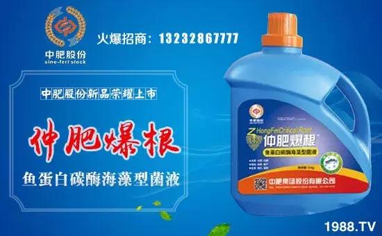 解决烂根,烂根的盆栽怎么补救