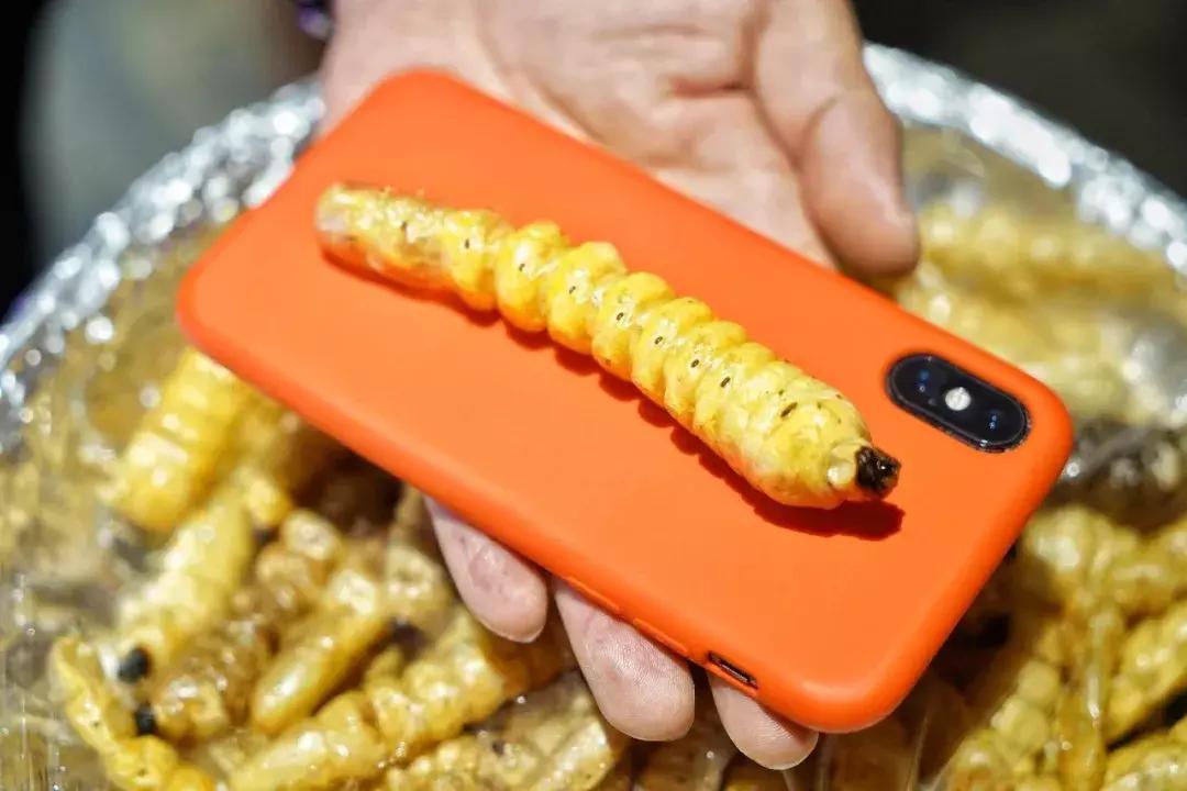 最出名的酸汤鱼,地道美食酸汤鱼推荐