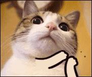 解锁夏日度假新姿势,解锁夏日新姿势