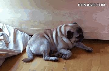 做农资需要知道的知识,对于农资的感悟