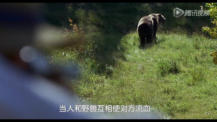 视听享受美轮美奂,秋日传奇别名燃情岁月