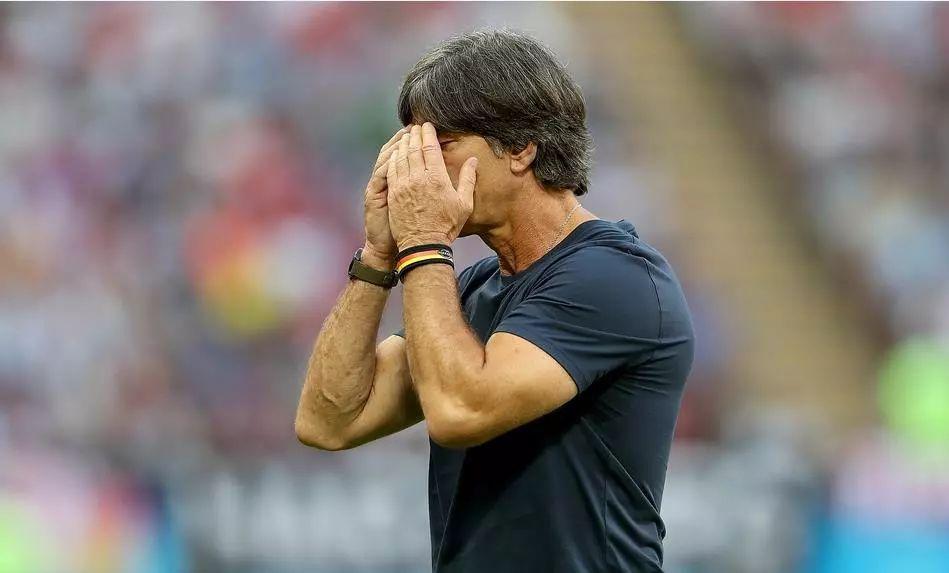 世界杯德国队被调查,解读德国的社会危机