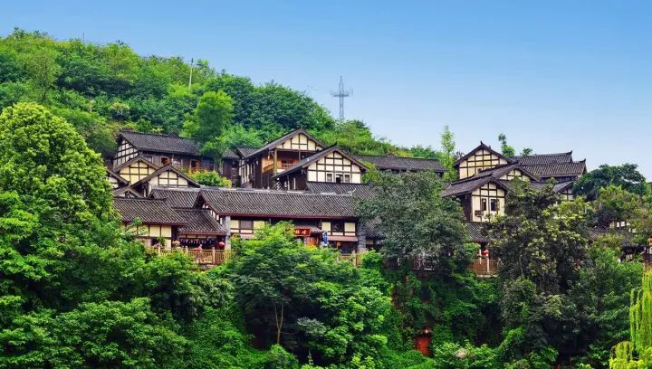 成都周边免费挖竹笋的地方,成都一日游必去十个免费景点