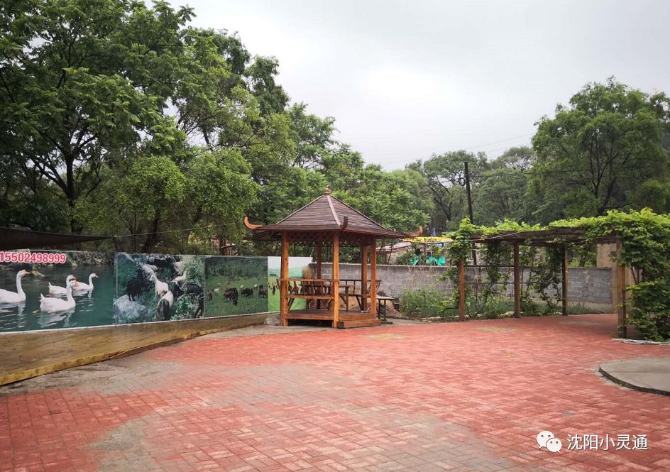 沈阳小市一庄一日游攻略,沈阳苏家屯旅游攻略一日游