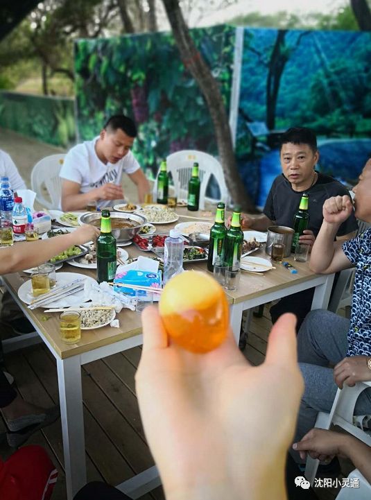 沈阳小市一庄一日游攻略,沈阳苏家屯旅游攻略一日游