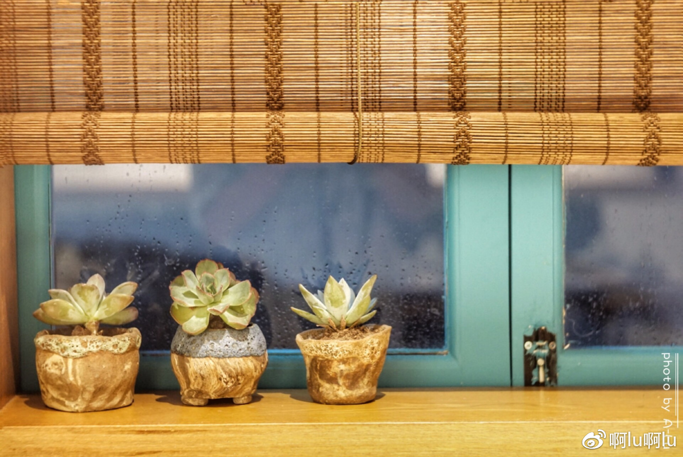 有没有1000左右的佛跳墙,佛跳墙人人有份