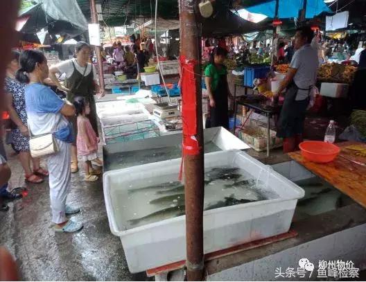 曝光!柳州这些菜市场缺斤短两变相涨价,看看有没有你常去的