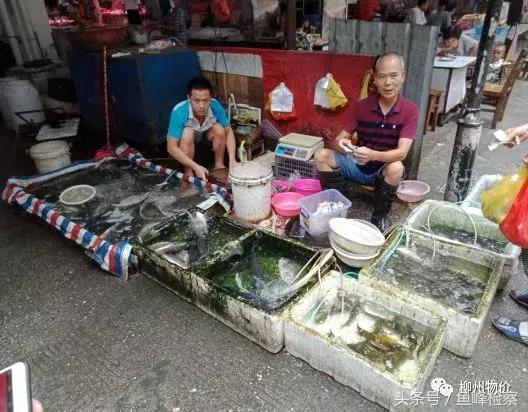 曝光!柳州这些菜市场缺斤短两变相涨价,看看有没有你常去的