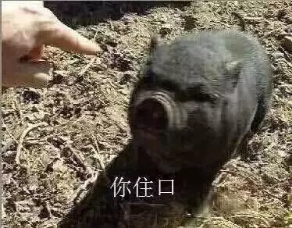 有人惹你怎么办？给我狠狠滴怼回去，这些话教你到底该怎么做