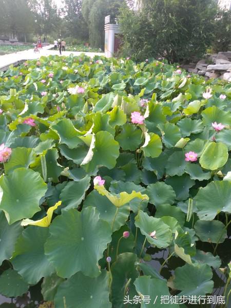 走遍山东之聊城,走遍聊城