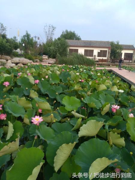 走遍山东之聊城,走遍聊城