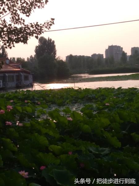 走遍山东之聊城,走遍聊城