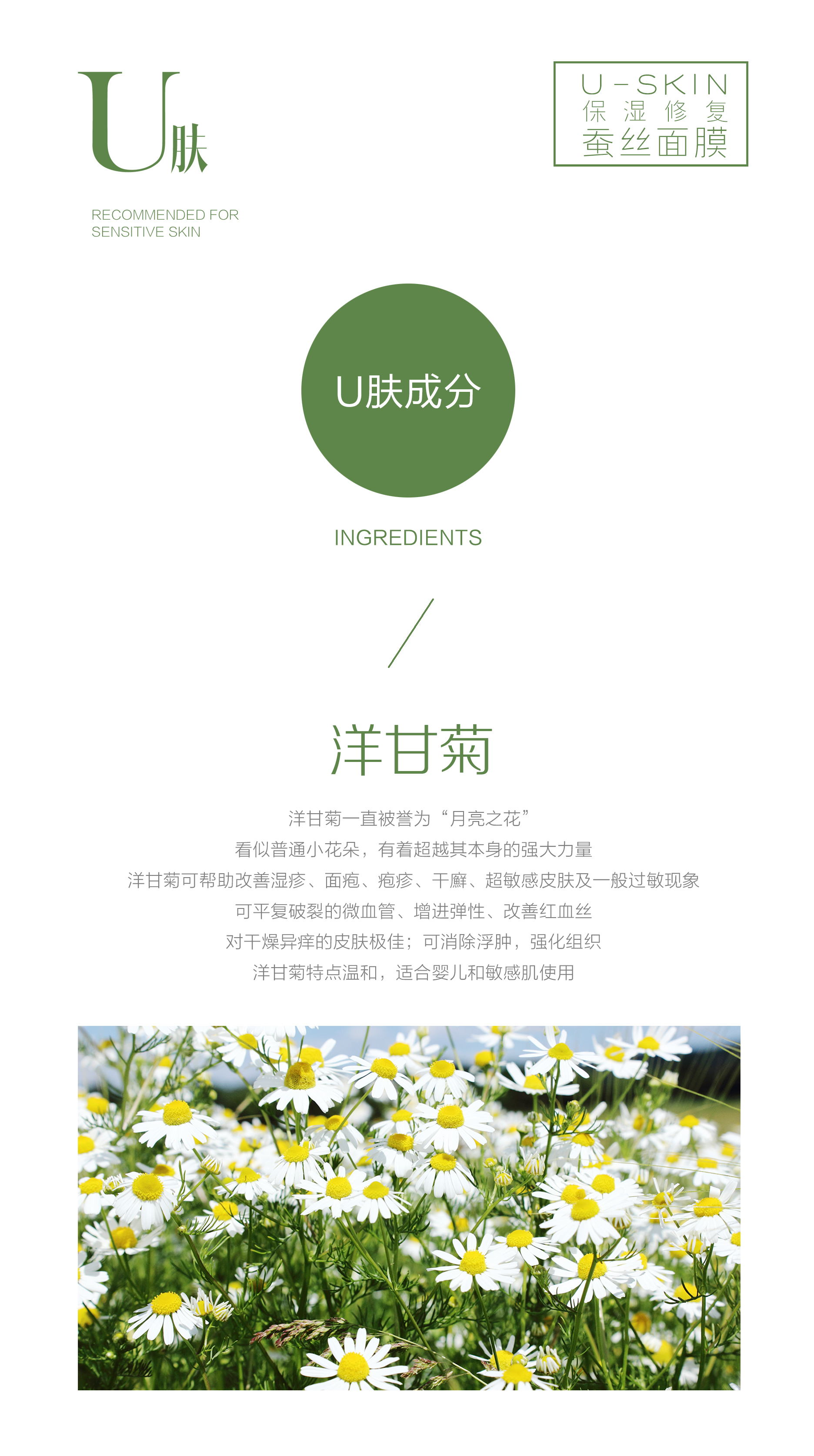 U肤|最温柔的美肤力量—金黄洋甘菊