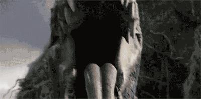 侏罗纪世界2出现的恐龙种类,侏罗纪世界进化恐龙种类增加