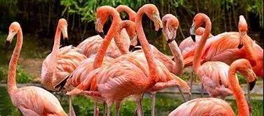 去英国十天,去英国倒计时