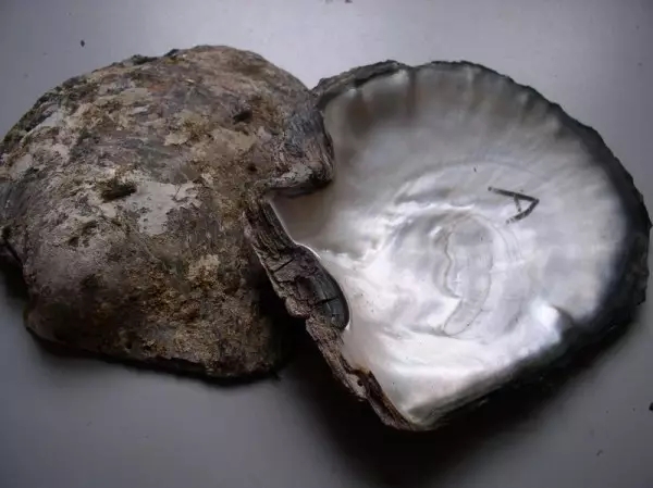 灯下不看玉的上一句,灯下不看玉是什么意思