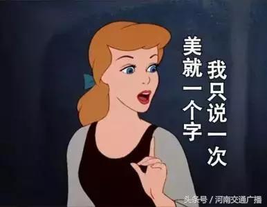 郑州哪里可以入夏赏荷,郑州最佳赏荷地来了