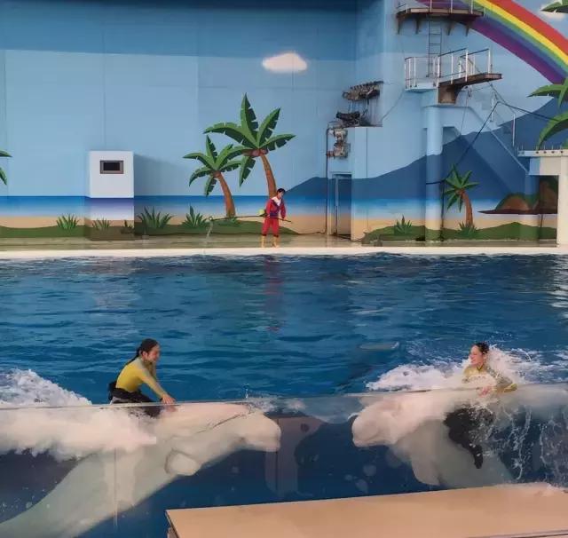 去日本横滨旅游攻略,日本旅游可以逛店吗