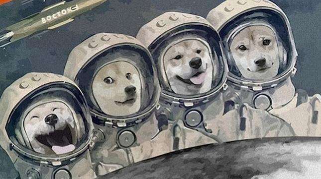 忘了*币特比**吧,狗币使你快落「doge脸」