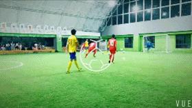 最新战报国乒7场比赛五胜两负,战报总结视频