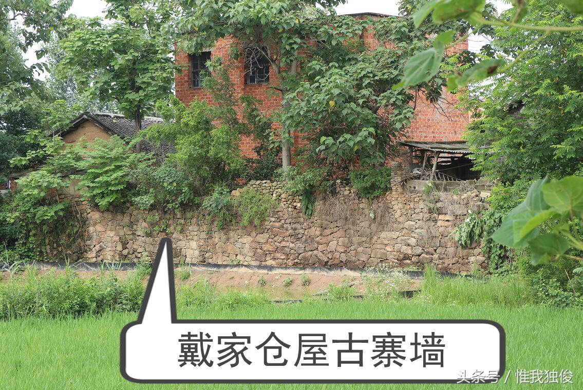 随州太白顶风景区简介视频,发现之旅神农架野人之谜