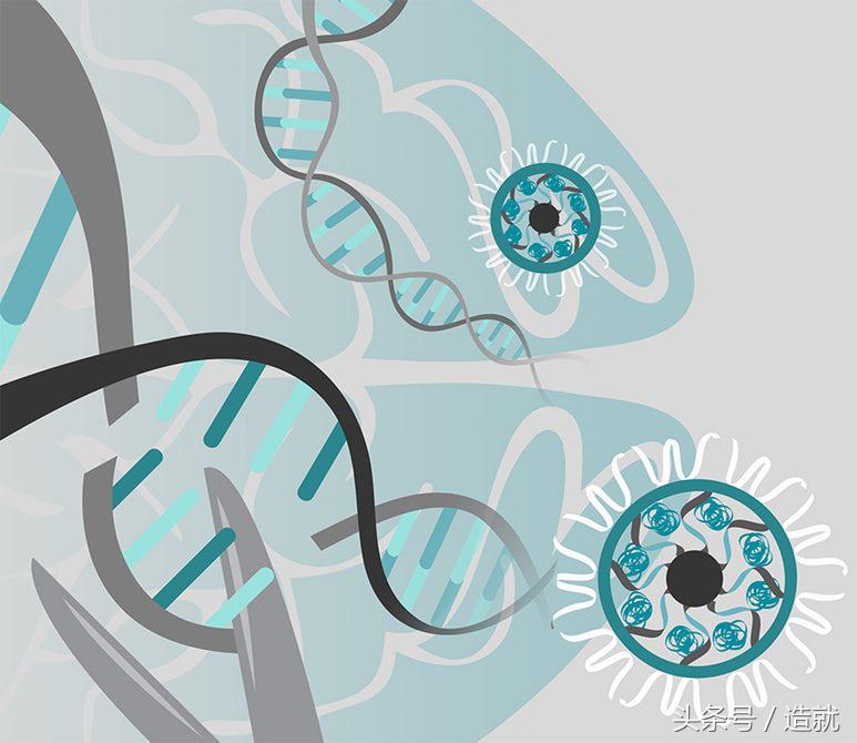 基因crispr和免疫疗法区别,基因编辑crispr技术