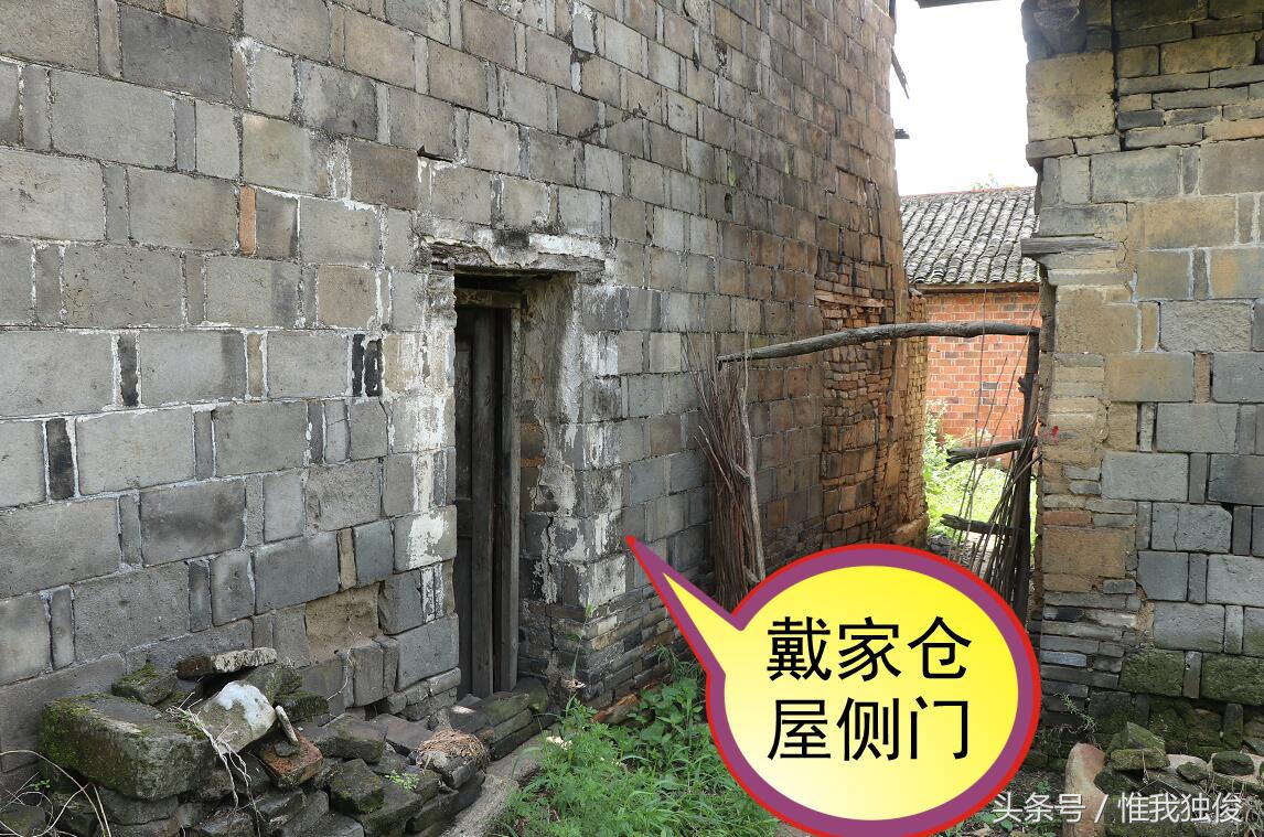 随州太白顶风景区简介视频,发现之旅神农架野人之谜